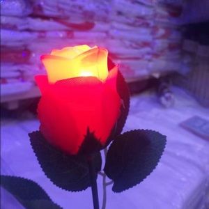 Meet your Posher, Fatimata